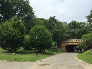 Photo Jun 26, 10 04 47