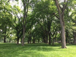 Photo Jun 26, 10 15 43