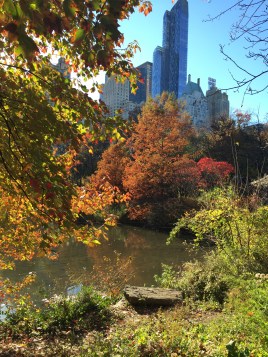 Photo Nov 08, 14 14 50